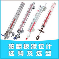 磁浮子液位計(jì)選型
