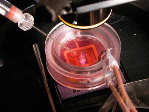 孔板流量計生物傳感器